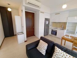 Spottiswoode Residences (D2), Condominium #572758941